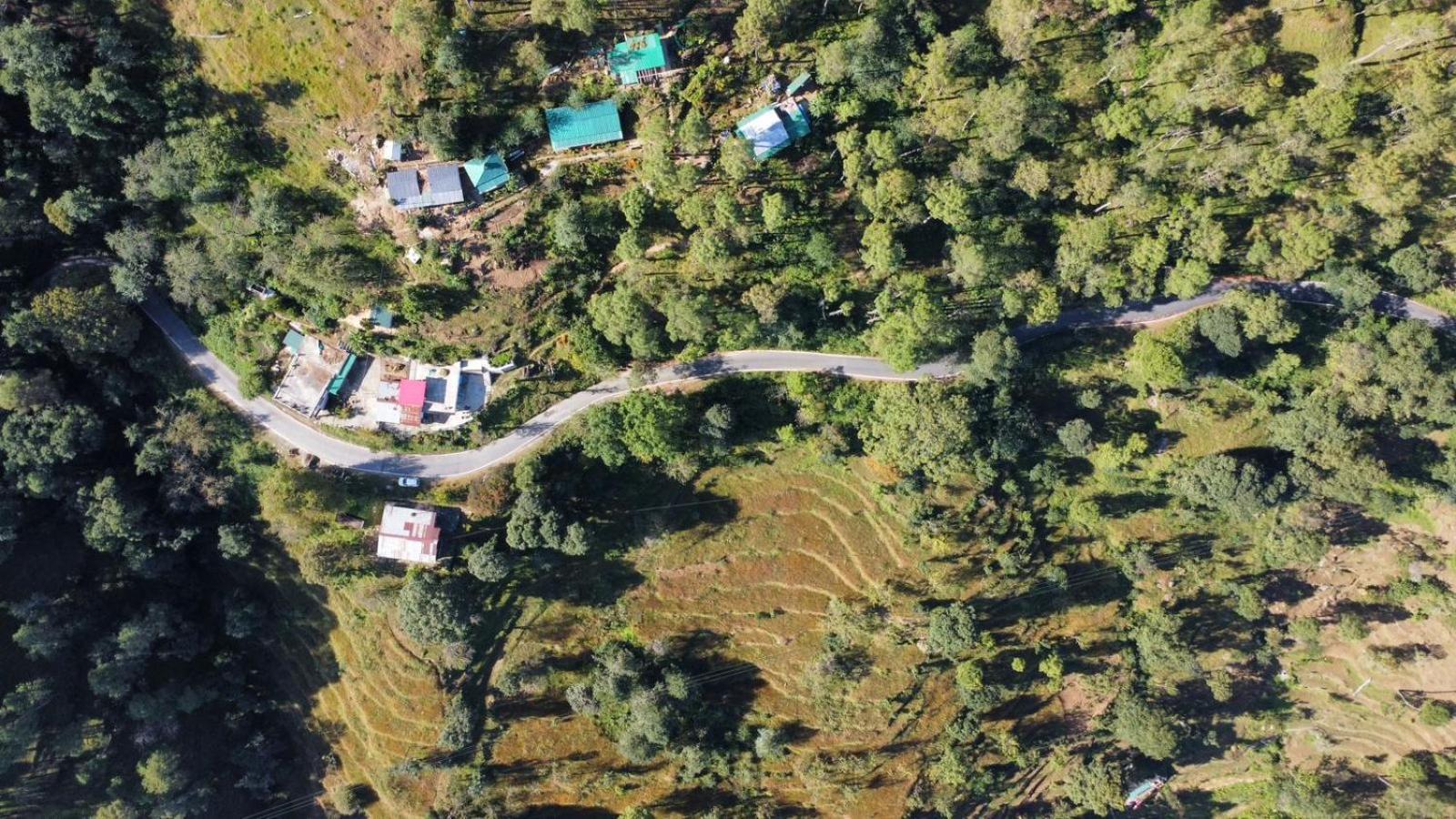 Zenoaks Homestay Алмора Екстер'єр фото