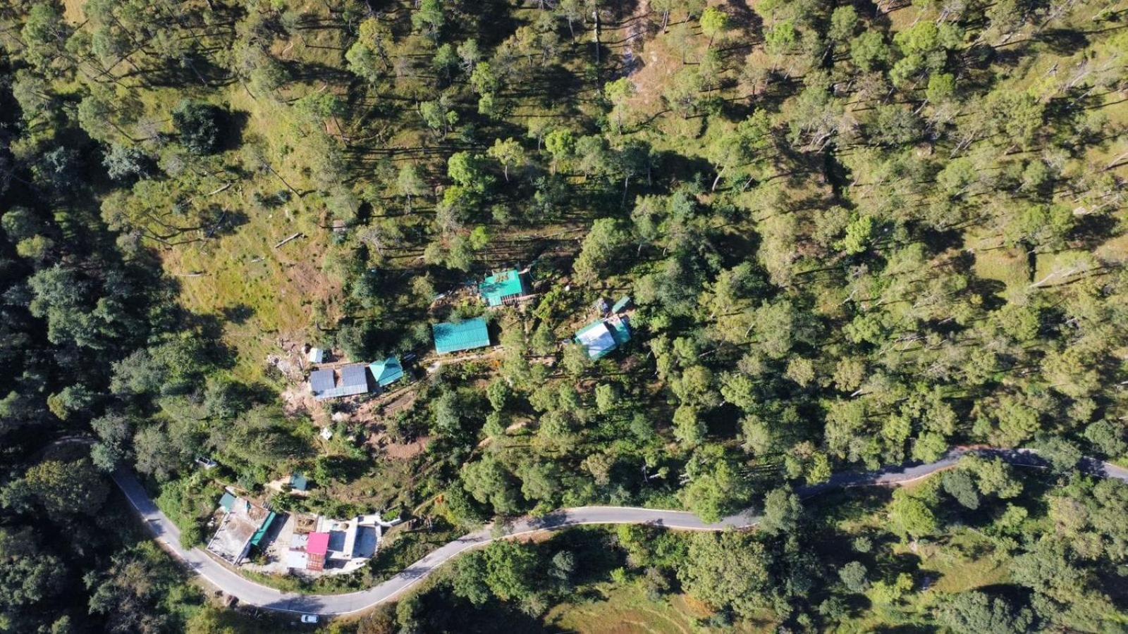 Zenoaks Homestay Алмора Екстер'єр фото